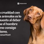 Palabras de defensa y protección para los animales
