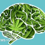 Peligros Ocultos de la Marihuana: Un Análisis Crítico
