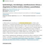 Profundiza en el complejo mundo del encefalocele