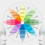 Profundiza en las Emociones Secundarias