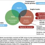 Razones del incremento en los casos de TDAH