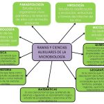 Razones para estudiar microbiología: una disciplina fascinante
