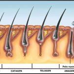 Razones por las que tu cabello no crece