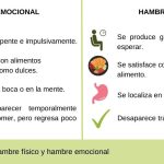 Razones tras la disminución de hambre y deseo de carbohidratos