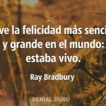 Revelaciones sobre la Belleza en Frases Inspiradoras