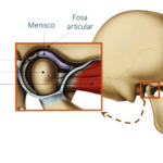 Secretos de la articulación temporomandibular: todo lo que necesitas saber