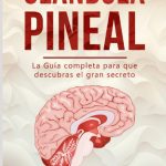 Secretos de la glándula pineal: funciones y beneficios ocultos