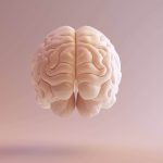 Secretos del Lóbulo Parietal: Funciones y Curiosidades Científicas