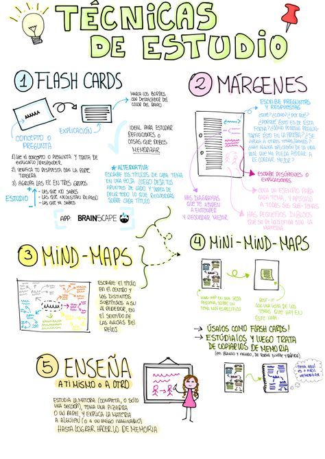 Tarjetas Flash: Técnicas Efectivas para Estudiar Mejor