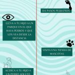 Tratamiento eficaz para superar la fobia a los perros