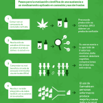 Ventajas de abandonar la marihuana