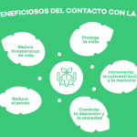 Ventajas de Aceptar las Cosas en su Estado Natural