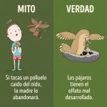 Humor animal: ¿Es realidad o mito?