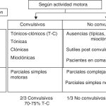 Clasificación de las Convulsiones: Una Guía Completa