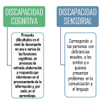 Clasificación de las distintas discapacidades