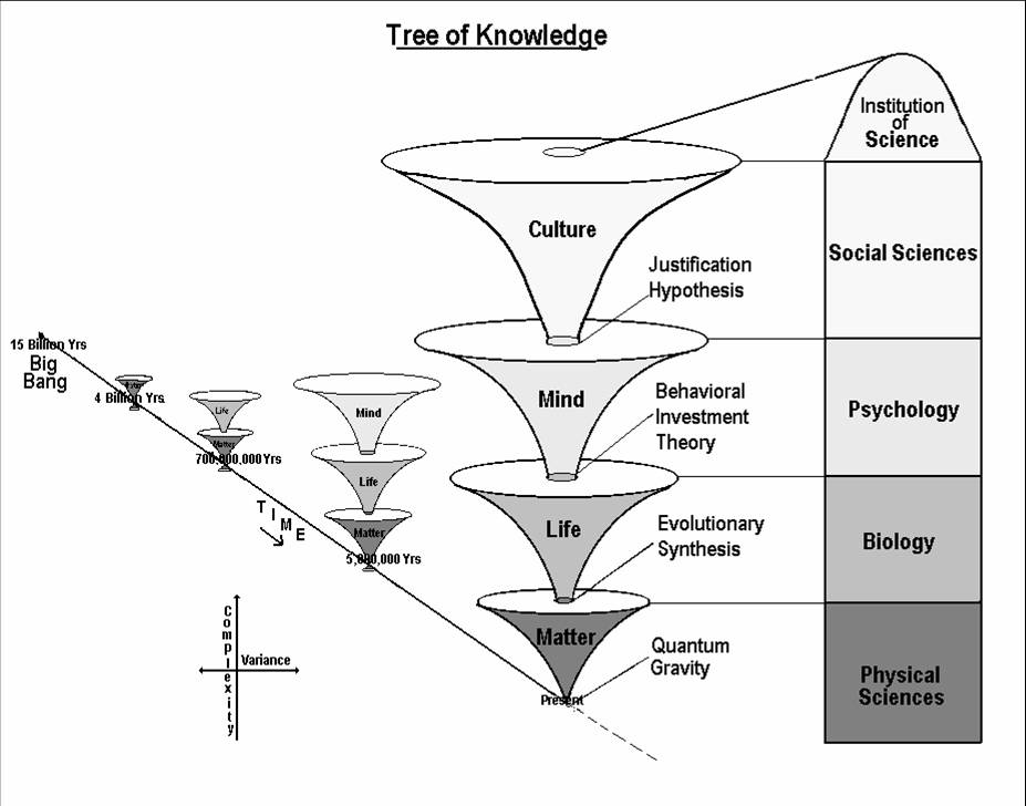 Diversas Ramas de la Ciencia