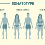 Guía Completa Sobre Somatotipos: Identifica tu Tipo de Cuerpo