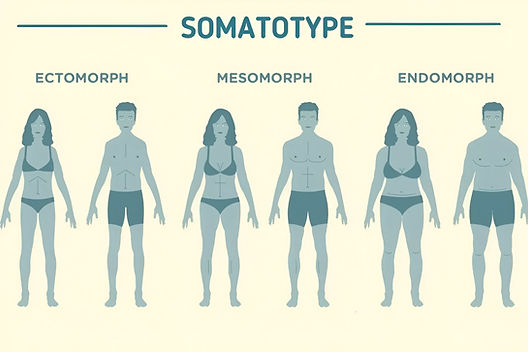 Guía Completa Sobre Somatotipos: Identifica tu Tipo de Cuerpo