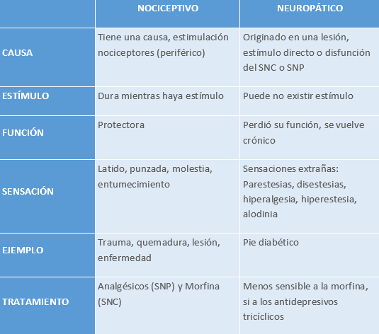 Variantes del Dolor y Sus Características Principales
