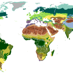 Variedades de biomas del planeta