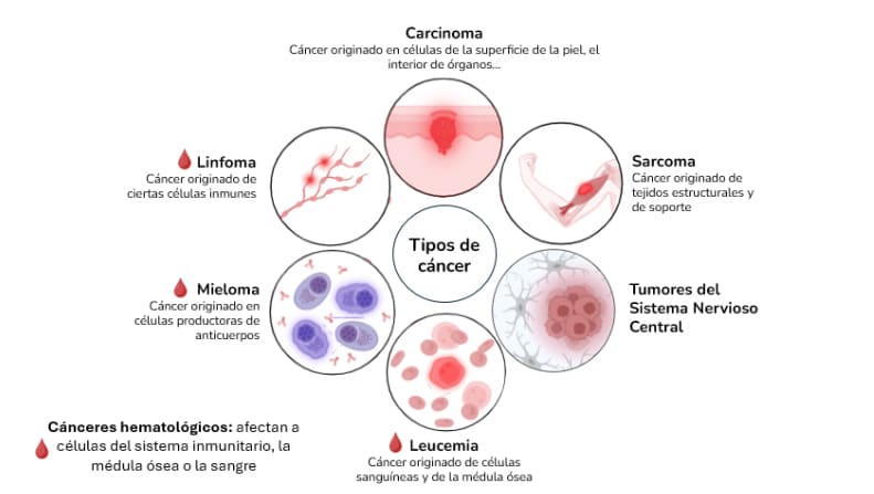 Variedades de Cáncer: Una Guia Esencial