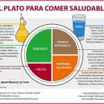 Variedades de Dietas para una Vida Saludable