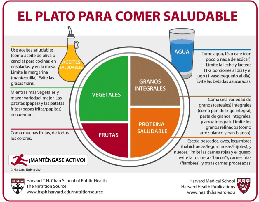 Variedades de Dietas para una Vida Saludable